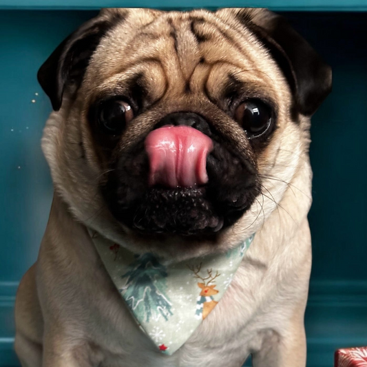 Christmas Sage Reindeer Dog Bandana