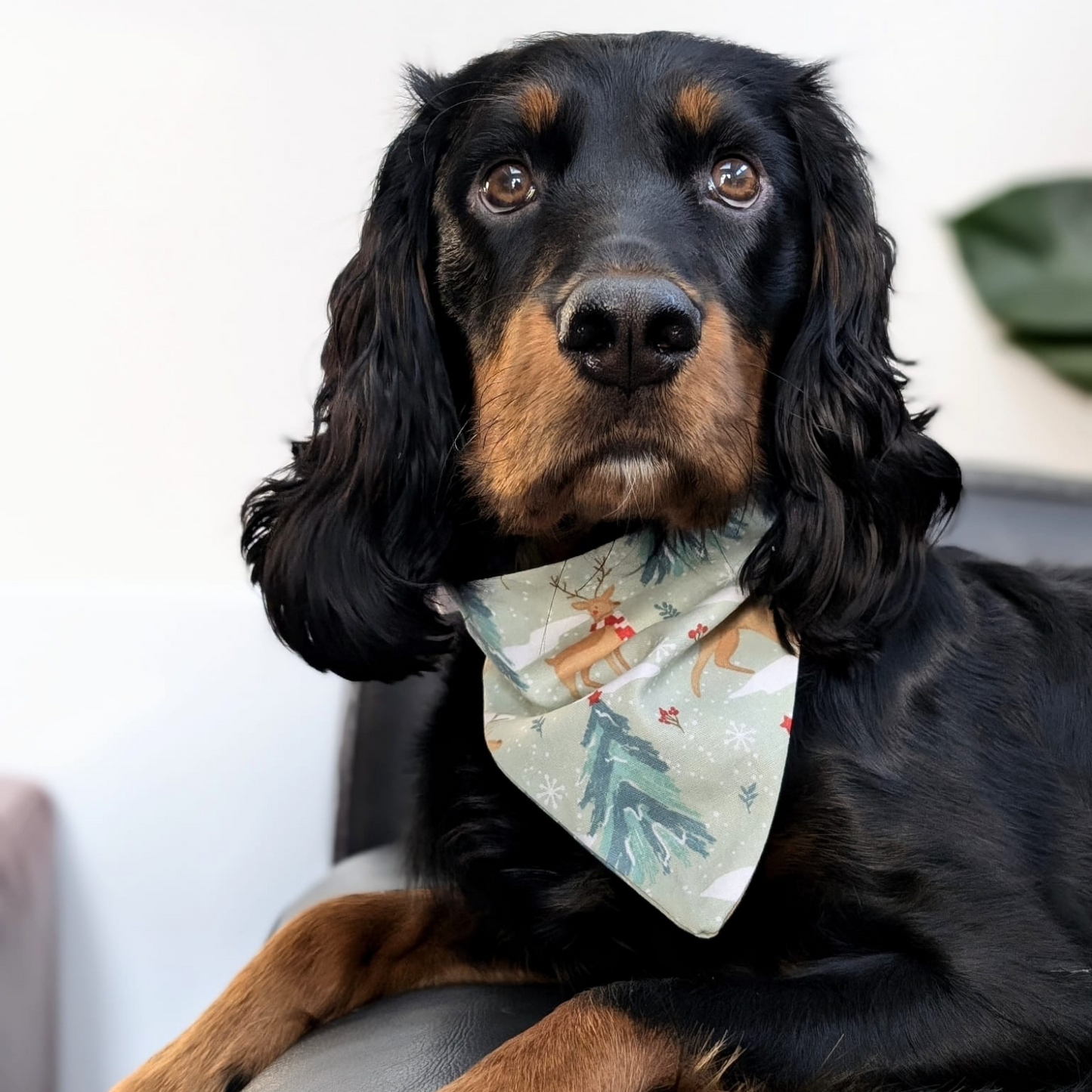 Christmas Sage Reindeer Dog Bandana