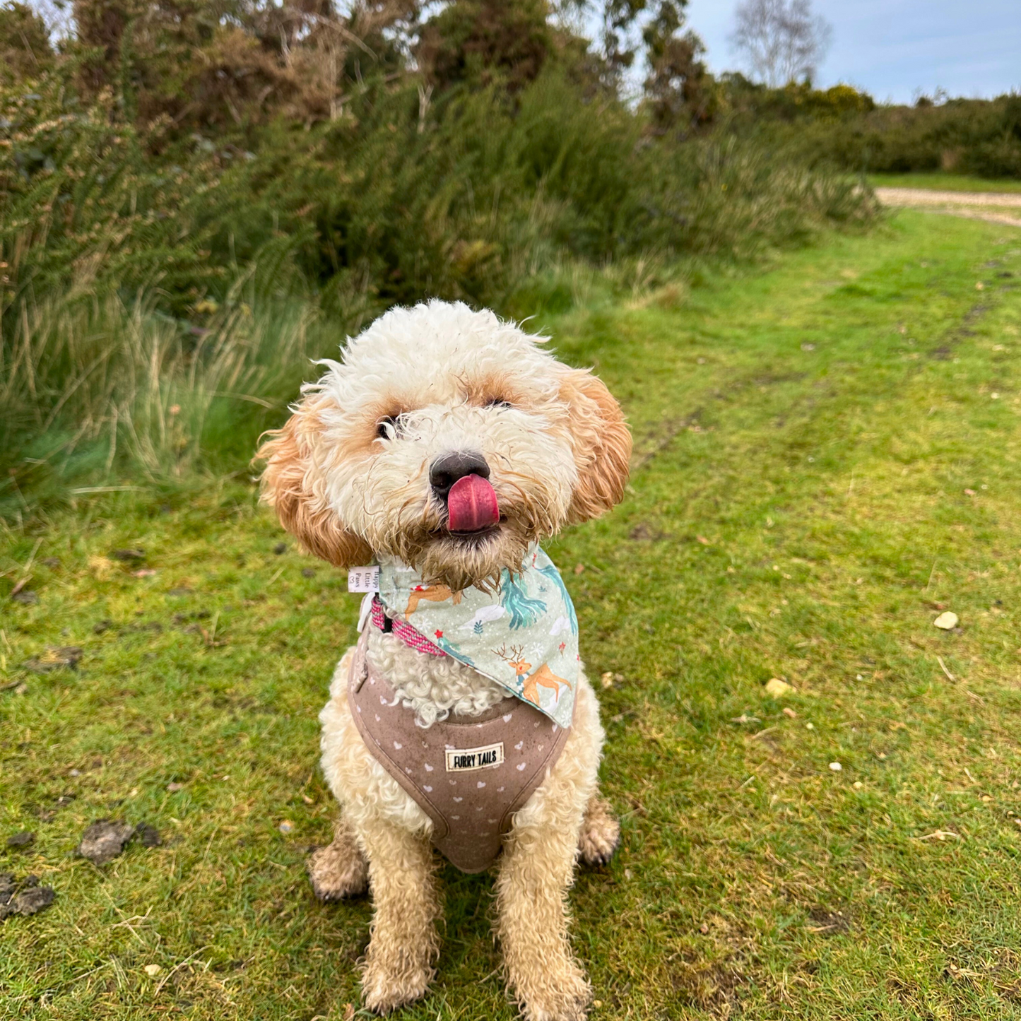 Christmas Sage Reindeer Dog Bandana
