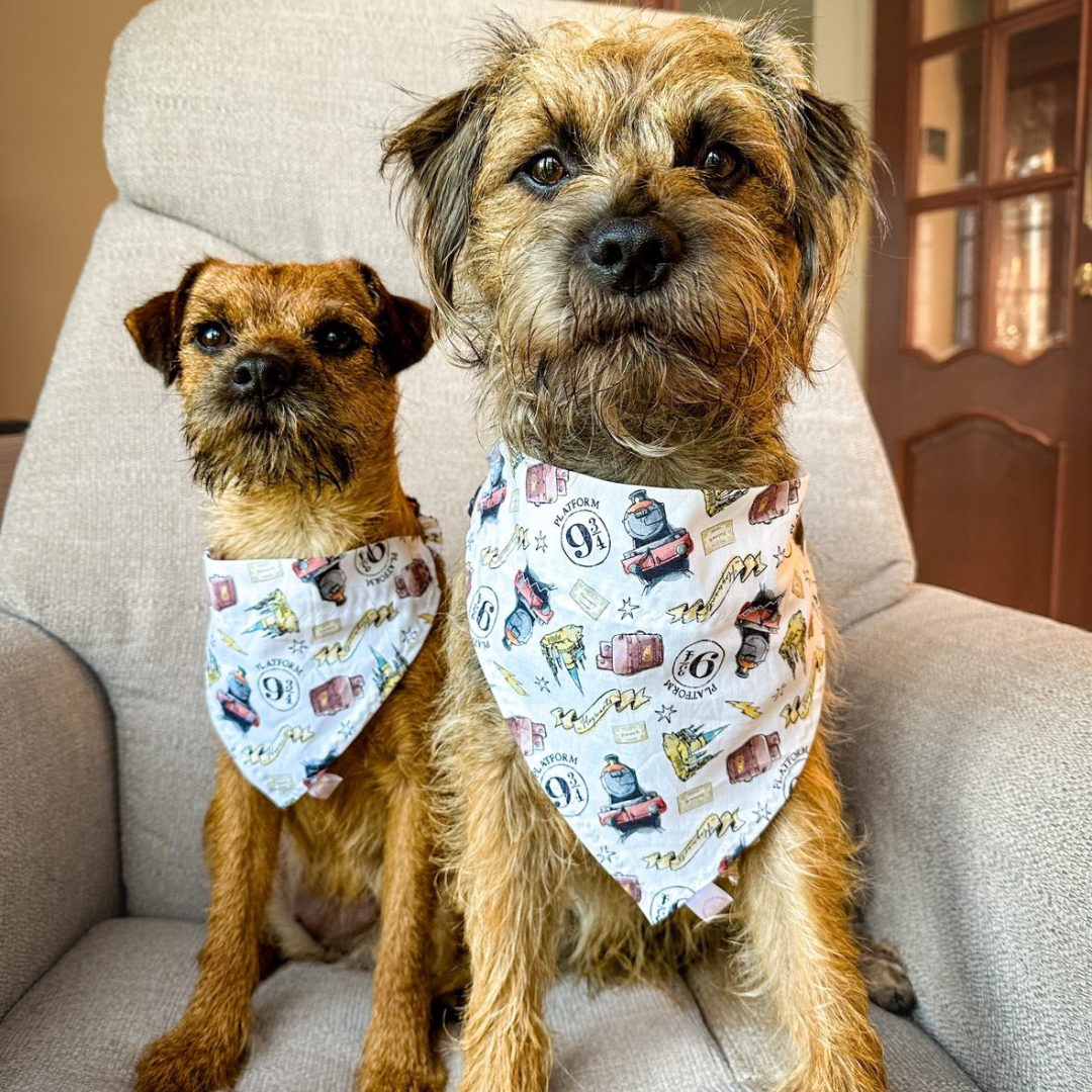 Harry Potter Scrunchie Dog Bandana image 0